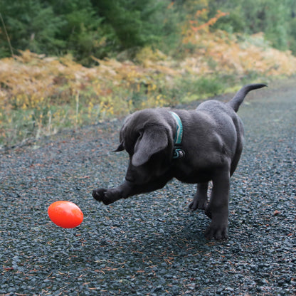 FOOTBALL - PELOTA AMERICANO
